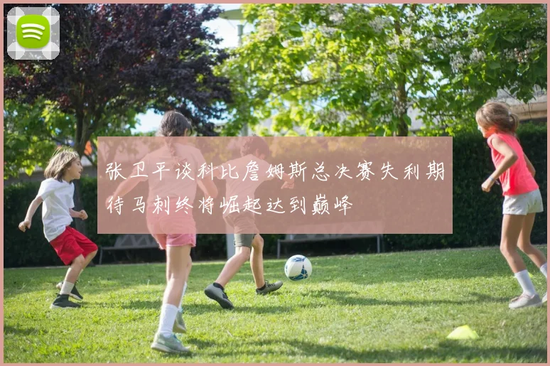 张卫平谈科比詹姆斯总决赛失利期待马刺终将崛起达到巅峰